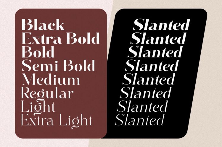 Serif Font Family