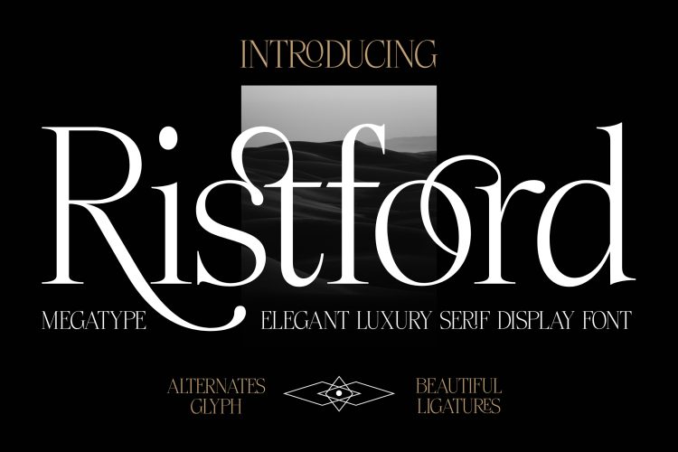 Serif Display Font
