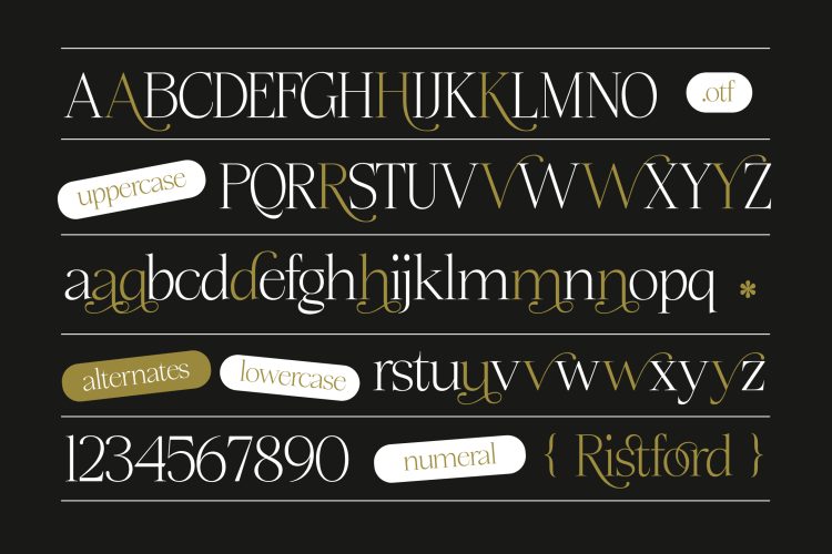 Serif Display Font