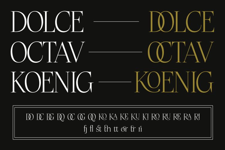 Serif Display Font