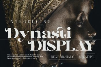 Serif Display Font