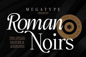 Serif Display Font