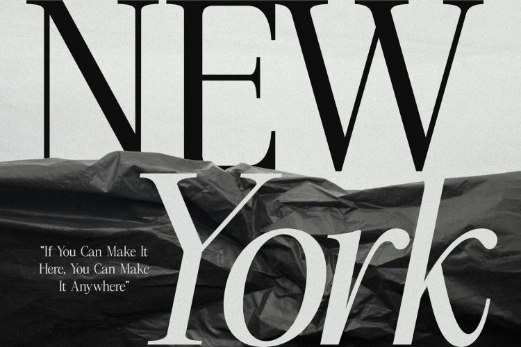 Serif Display Font