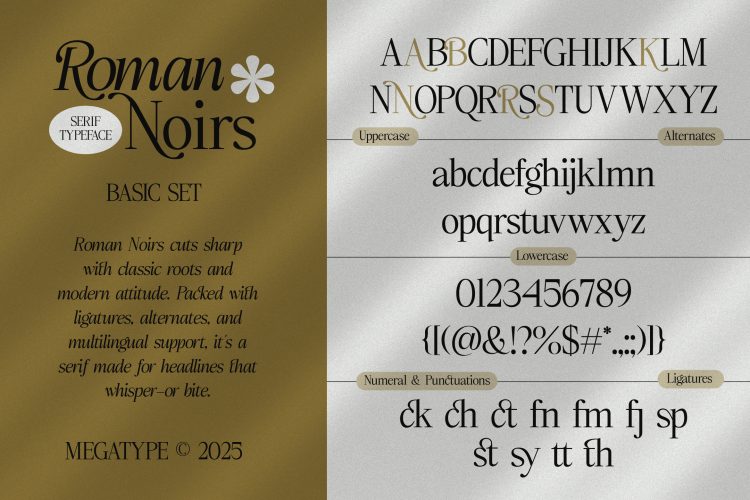 Serif Display Font