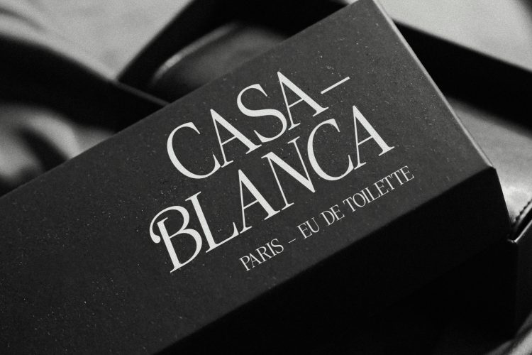Serif Display Font