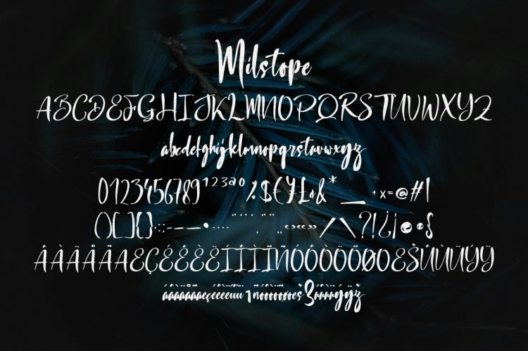 Handwritten Script Font