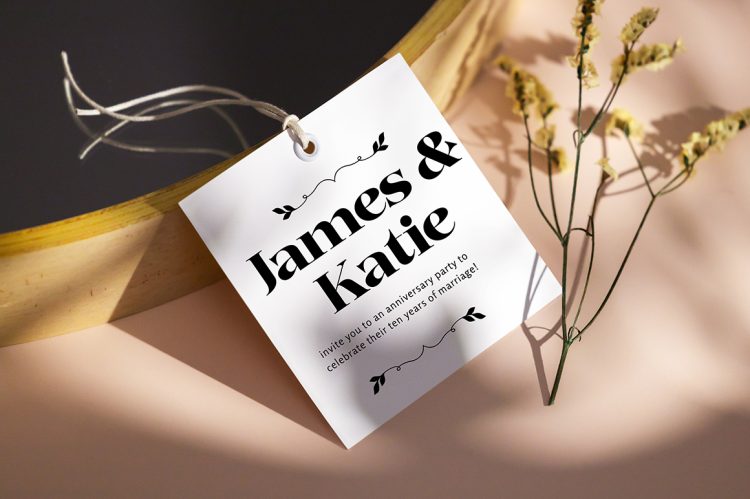 Serif Display Font
