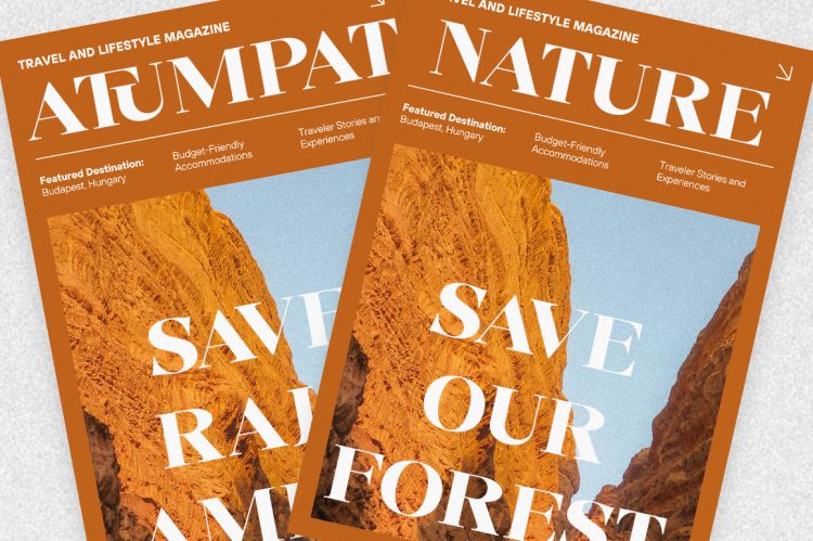 Serif Display Font